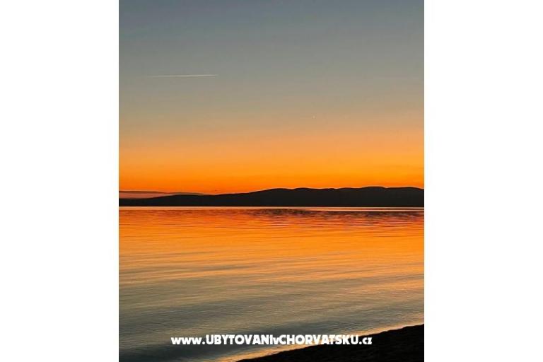  SARIC – foto 7