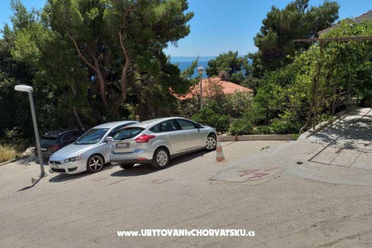  SARIC – foto 8