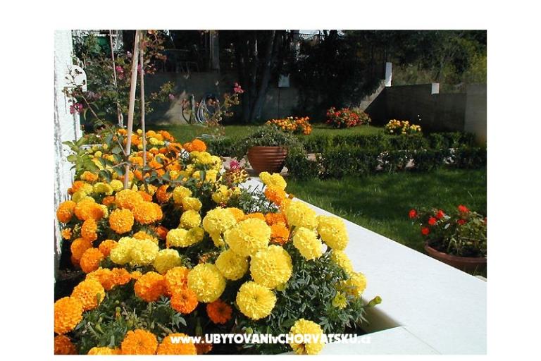 Villa Ana – foto 9