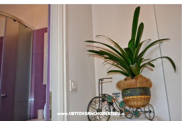 Aparatmani Adrian – foto 12