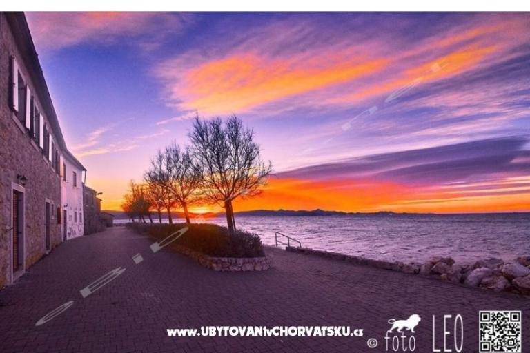 Aparatmani Adrian – foto 15