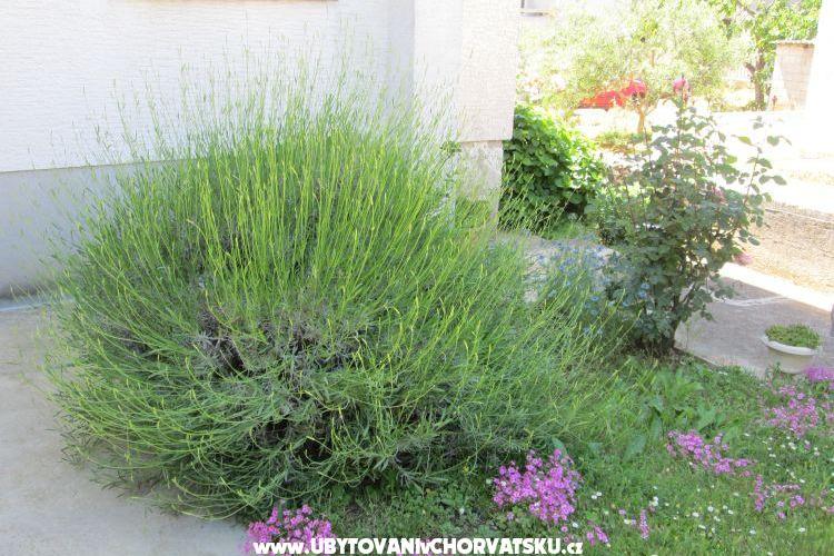 Apartment Dara – foto 14