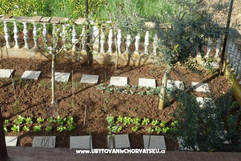 Apartment Petar i Agica Sabljak – foto 14