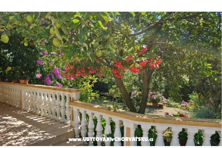 Appartement Mara – foto 2