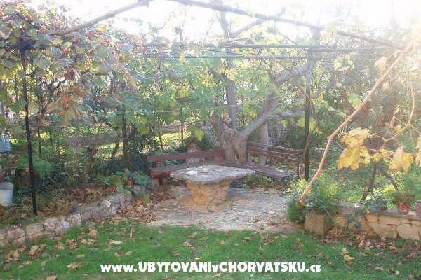 Ferienwohnungen and Haus Spika – foto 6