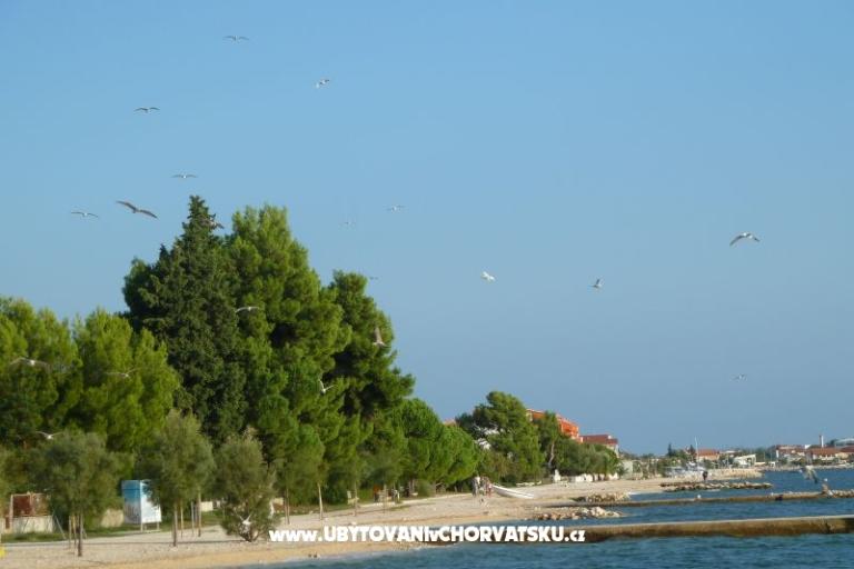 Bibinje Ferienwohnungen – foto 11