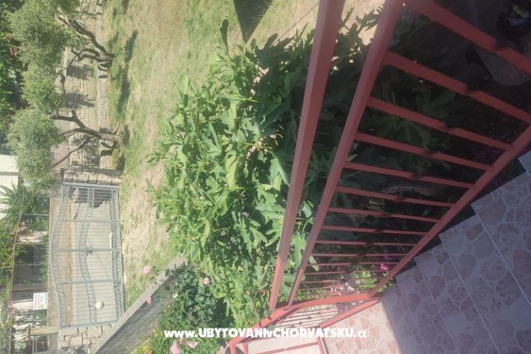 Apartment Cvita – foto 5