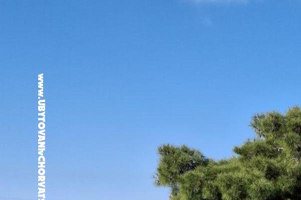 Villa D&amp;J – foto 7