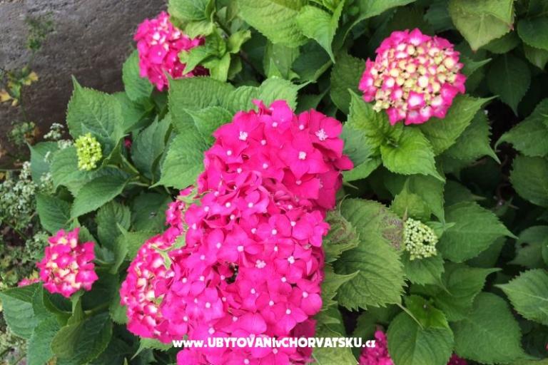 Appartements Jurov – foto 15