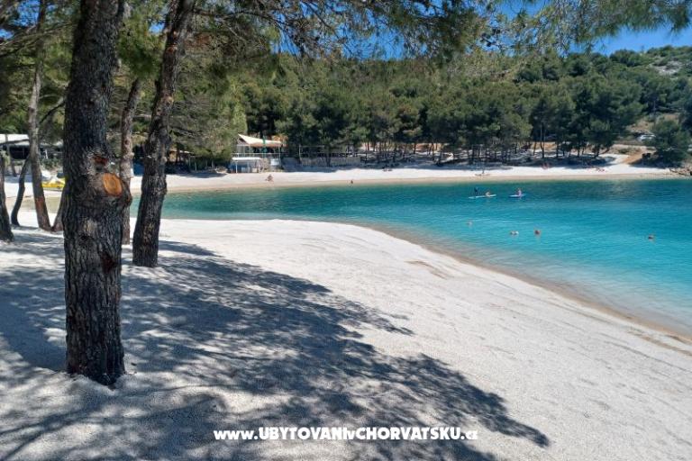 Appartements KIKO - Drage – foto 4