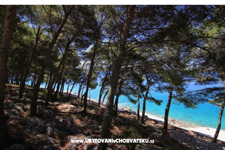 Appartements Lea – foto 10