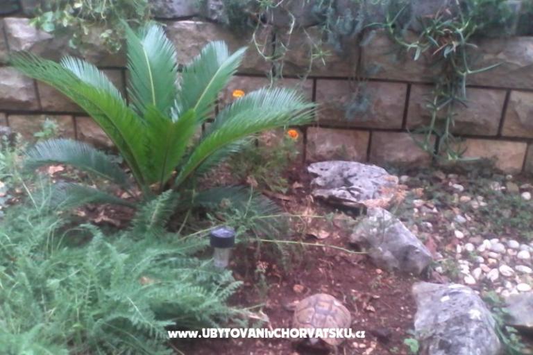 Appartements Mitja – foto 18