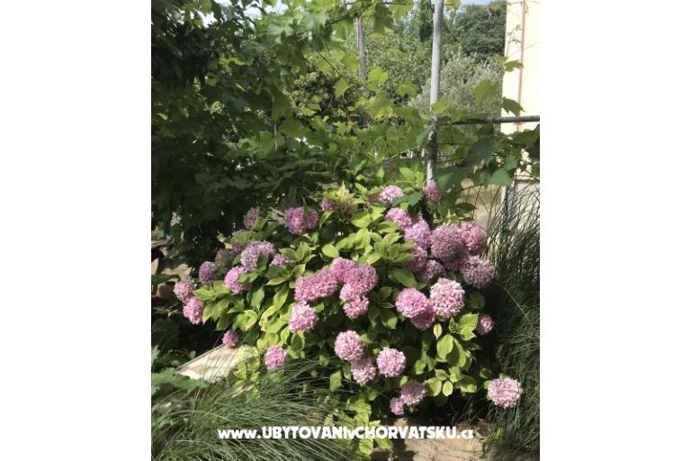 Appartements Sunčana Dalmacija – foto 8