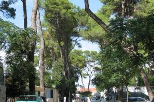 Auto Camp Diana – foto 2