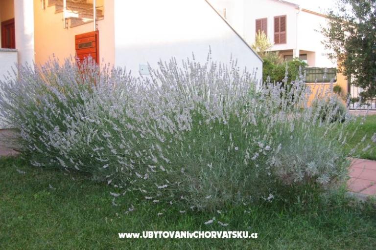 Appartements Blandona – foto 7