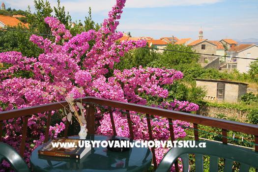 Apartment Vladimir *** – foto 6