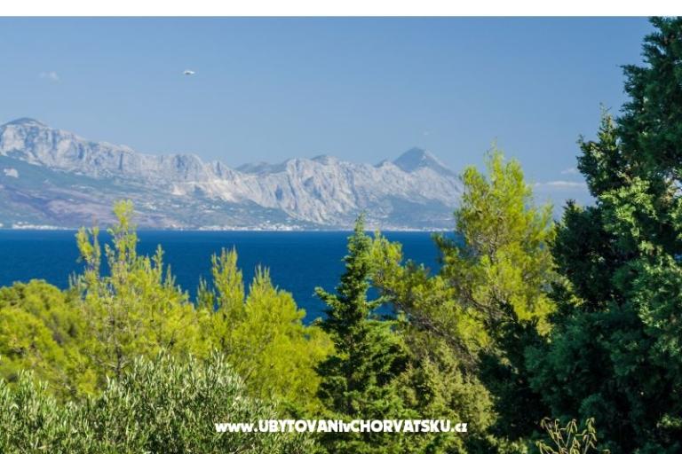 Appartements Silva – foto 10