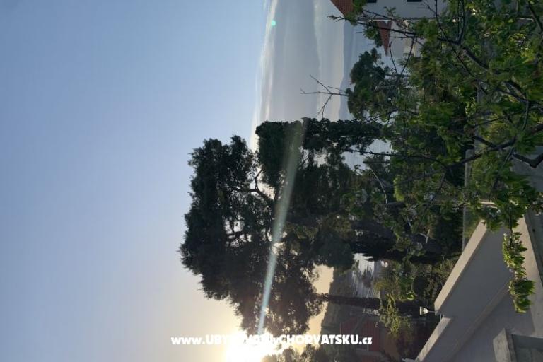 Appartement Luš – foto 10