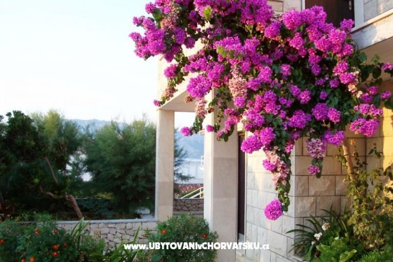 Ferienwohnungen Villa Vanja – foto 6