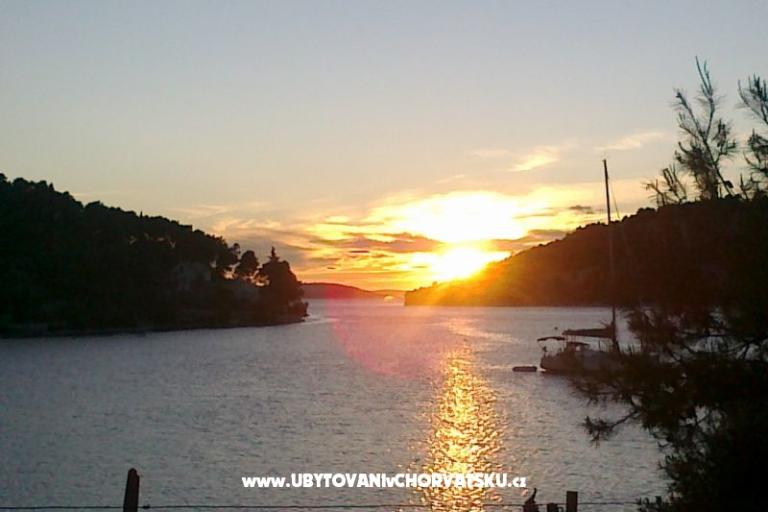 Villa Roza Bobovišče – foto 15