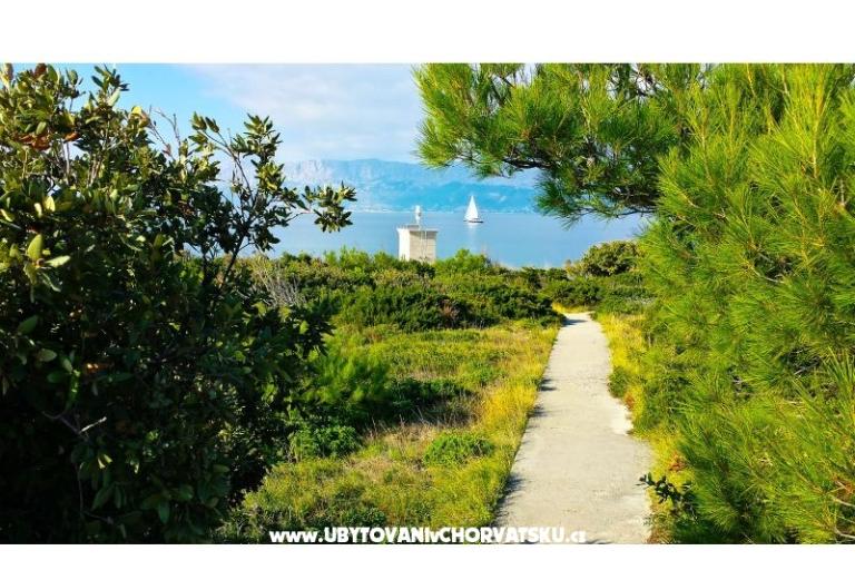 Ferienhaus Doda uvala Tičja Luka – foto 18