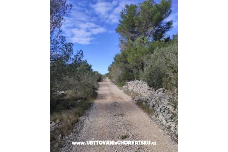 Family Haus Futura – foto 38