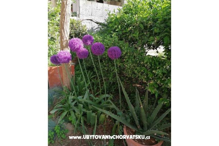 Appartements Vesna – foto 23