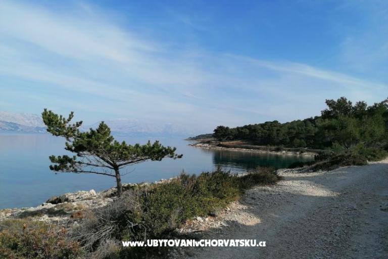 Appartements Vesna – foto 24