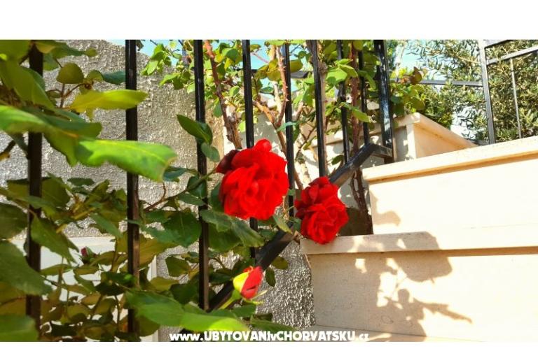 Appartements Bezma – foto 3