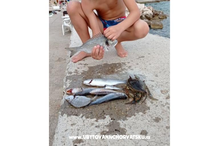 Appartements KiS Zelić – foto 21