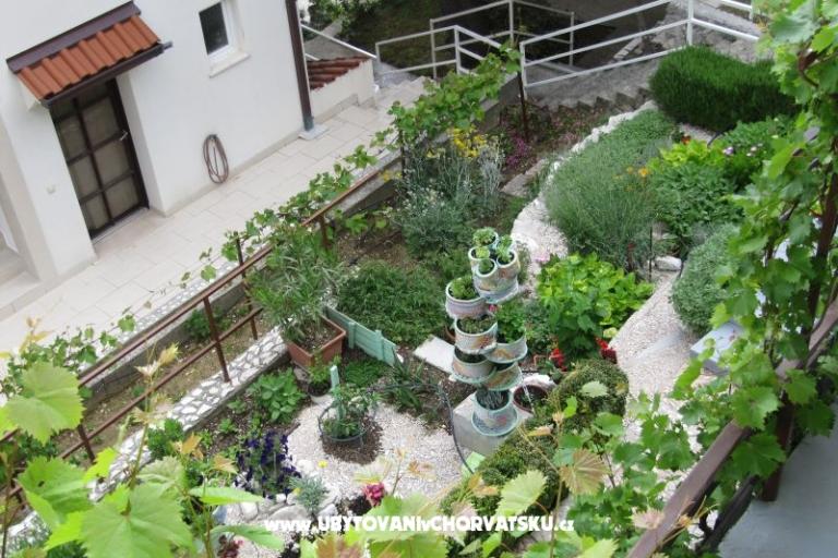 Appartements  Ivo Pikolo – foto 10