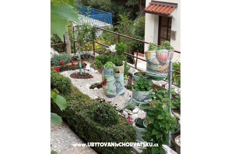 Appartements  Ivo Pikolo – foto 5