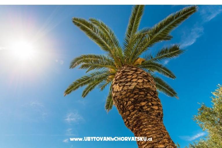 AFerienwohnungen Brela Jago – foto 3