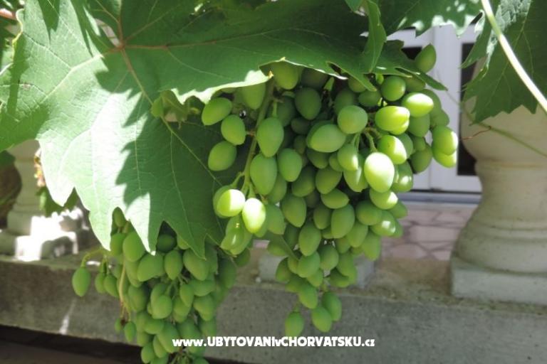 Haus Željko i Marija – foto 13