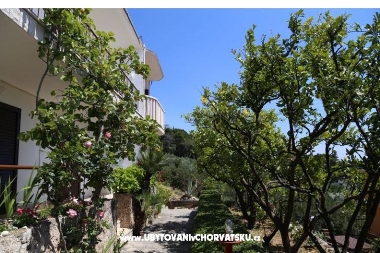 Appartements Mare – foto 17