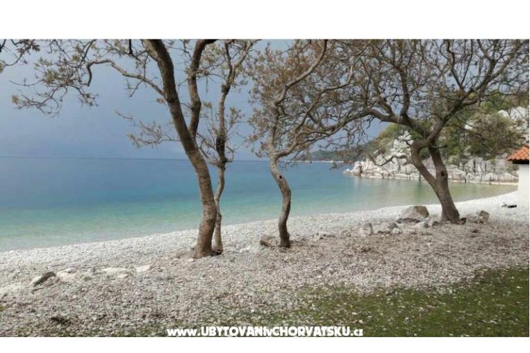 Haus Erika – foto 18