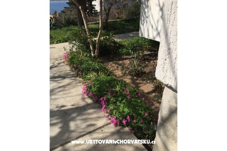 Appartement Sunny – foto 8