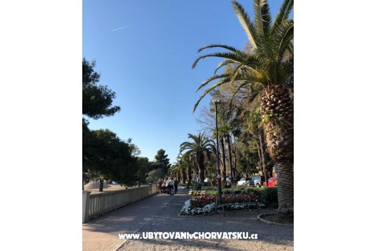 Ferienwohnungen Sun and Sea – foto 10