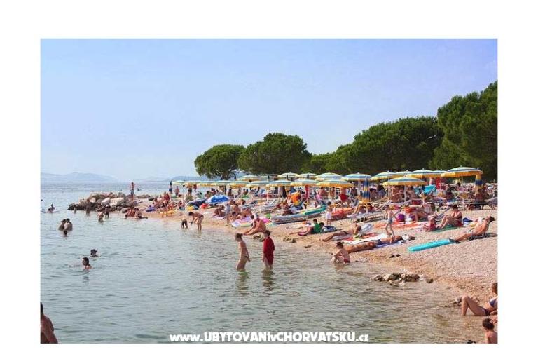 App Butković – foto 4