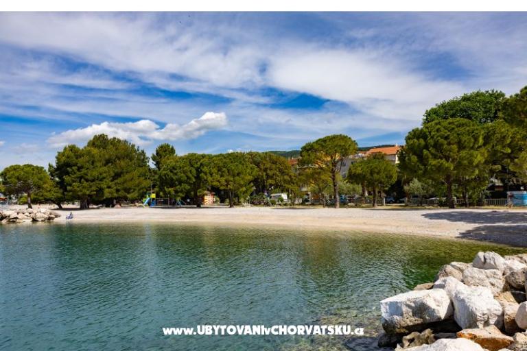 Beach Center – foto 4