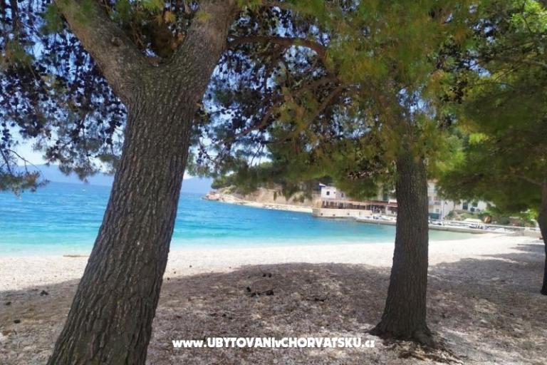 Appartements Plavi Jadran – foto 12