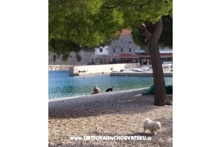 Appartements Plavi Jadran – foto 7