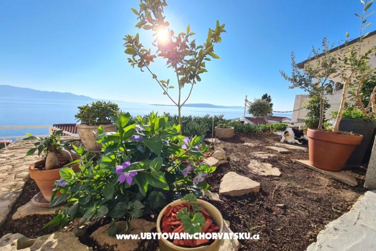 Ferienwohnungen Puntin – foto 4