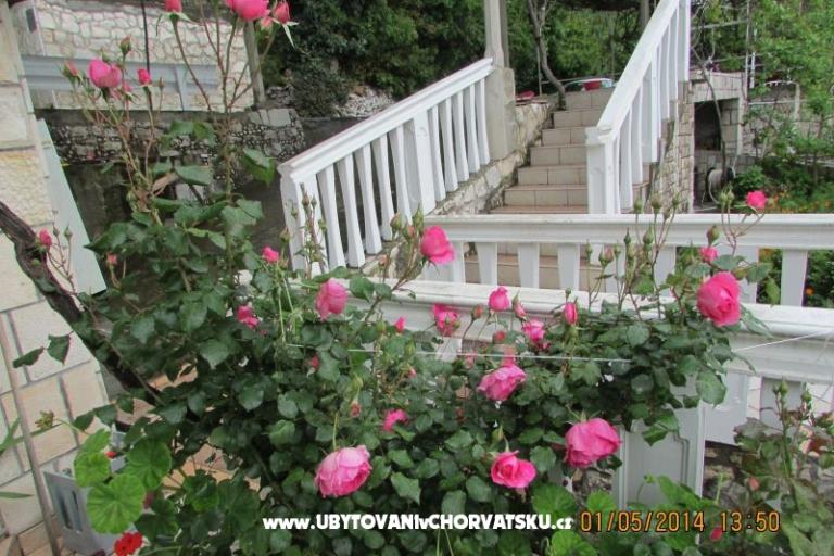 Appartements  Anka – foto 17