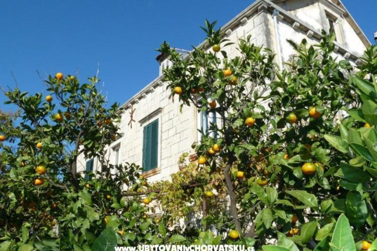 Appartements Mir Dubrovnik – foto 2