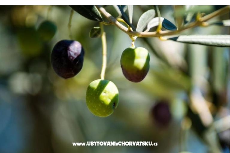 Appartement Franica – foto 13