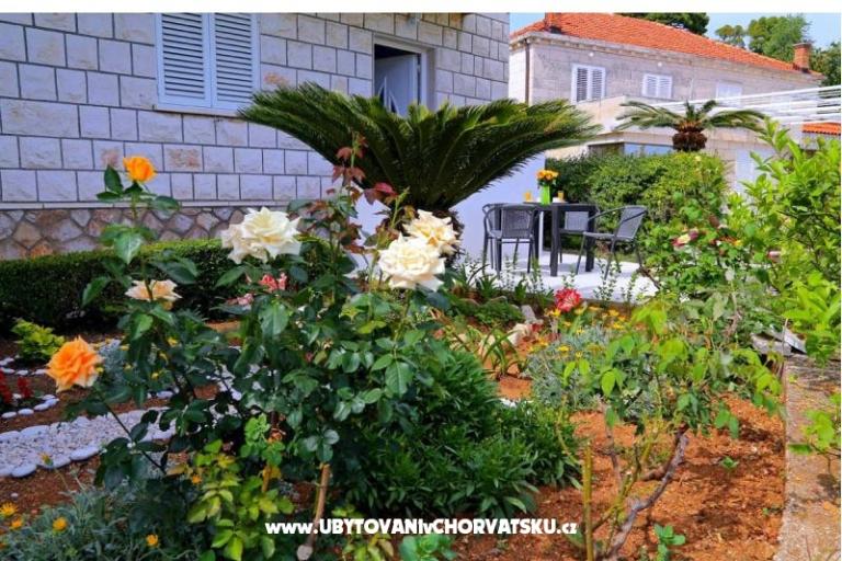 Ferienwohnungen LOVE DUBROVNIK – foto 14
