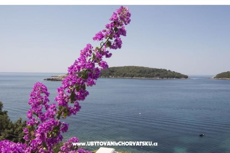 Ferienwohnungen Rašica – foto 5