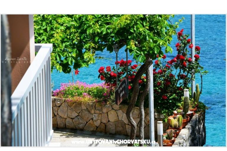 Villa Ana Ferienwohnungen – foto 3