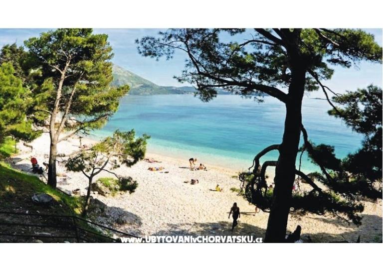 Haus Peric Mlini  – foto 14